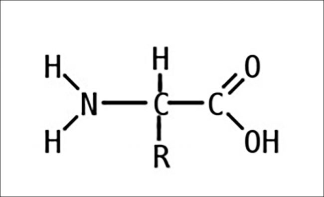 ảnh chủ đề