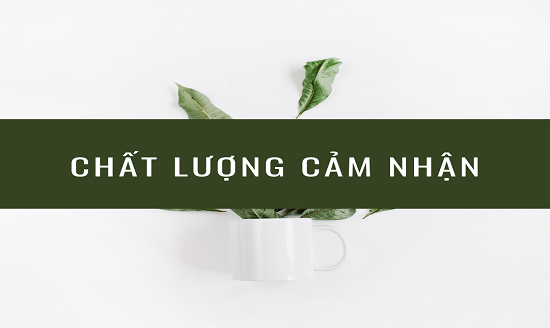 ảnh chủ đề