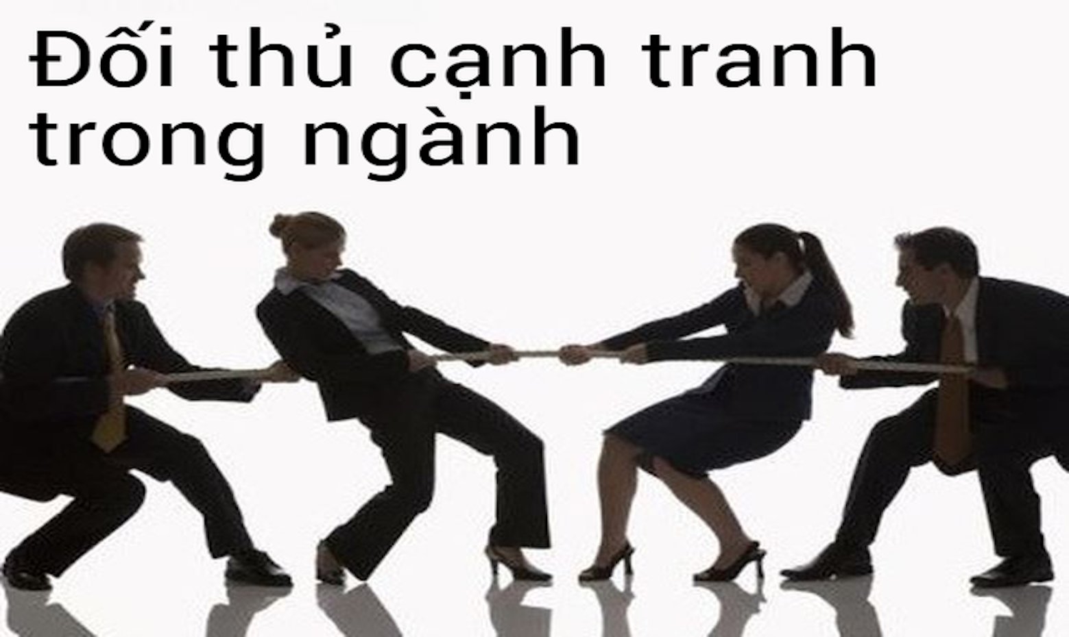 ảnh chủ đề