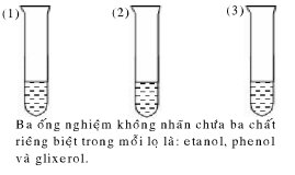 ảnh chủ đề