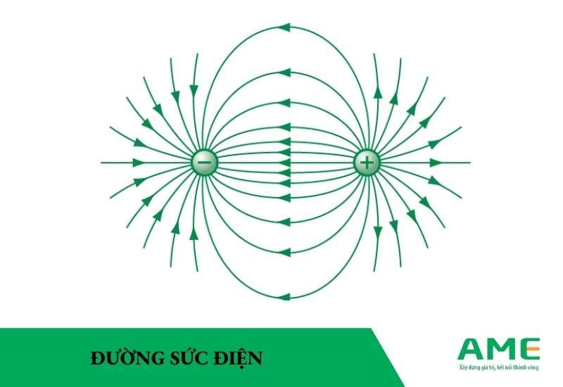 Các đường sức điện trong điện trường